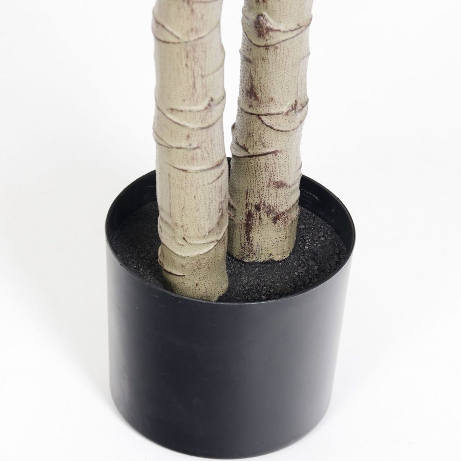 Artificial Dragon Tree