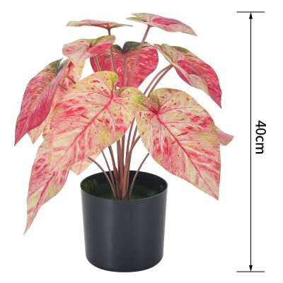 Artificial Caladium Bicolor