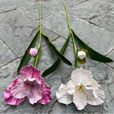 2-Bloom EVA Iris Stems| Realistic Texture