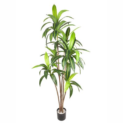 Faux Dracaena Fragrans/ Corn Plant