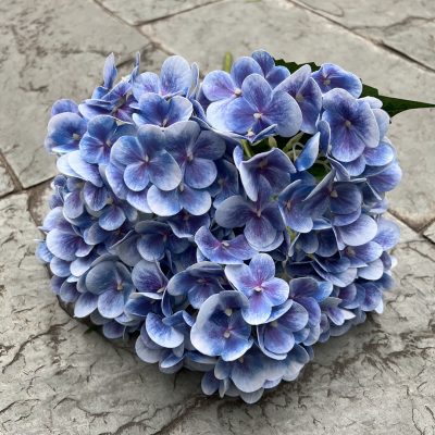 15 Color Options| 5-Headed 3D Real Touch Hydrangea