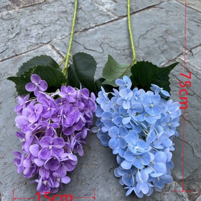 Tactile Pagoda Hydrangea
