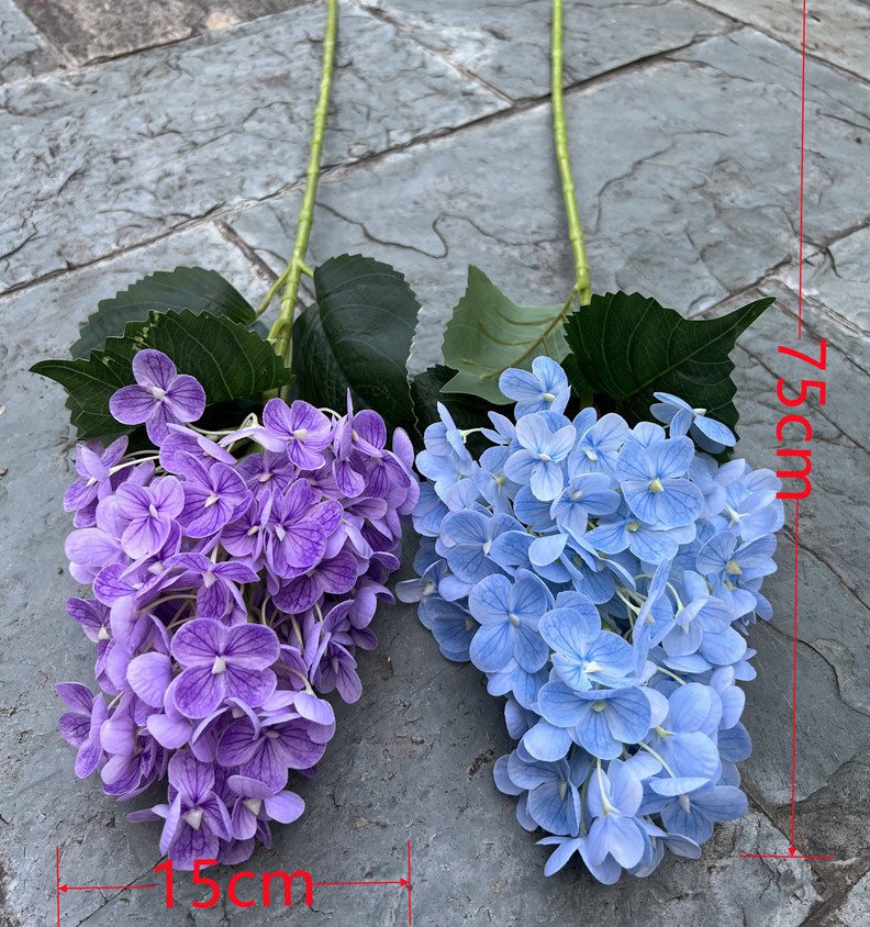Tactile Pagoda Hydrangea
