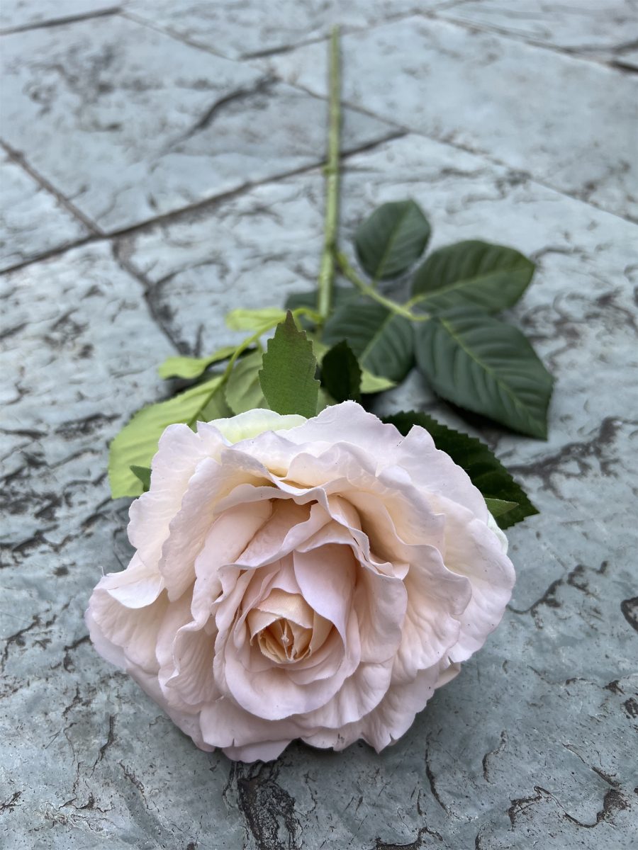 Real-Touch Tea Rose