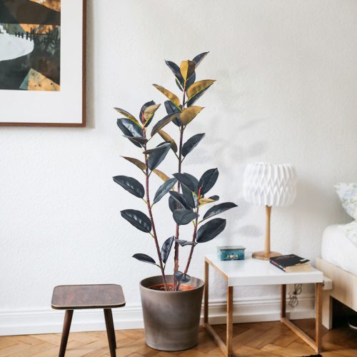 Artificial Black Rubber Tree