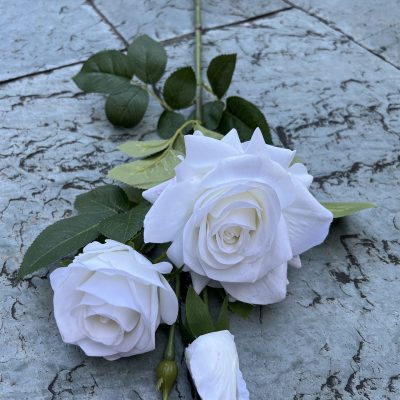 Real-touch Queen Rose