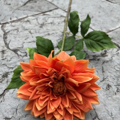 Moisturizing Hand-Feel Dahlia Stems