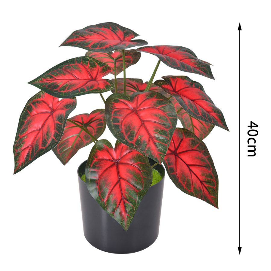 Artificial Caladium Bicolor