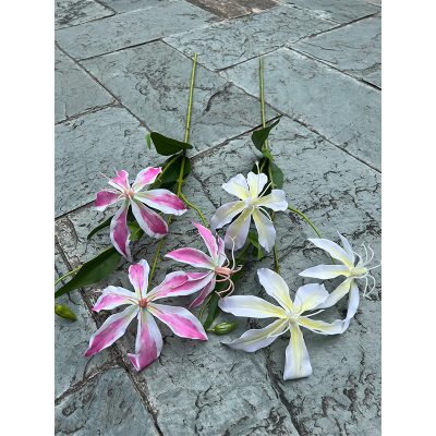 Real-touch Gloriosa Superba