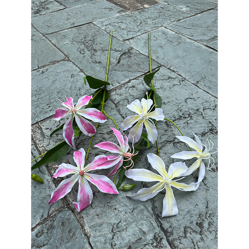 Real-touch Gloriosa Superba