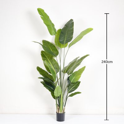 O1CN01apKO9w1g9OWxufzf0_!!2712764099-0-cib Faux Traveller's Palm/Canna