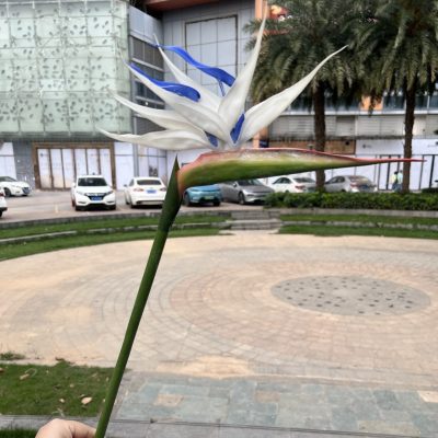 5 Color Options| Real Touch Artificial Bird of Paradise