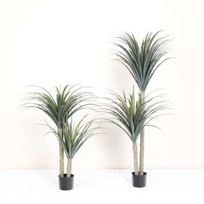 Artificial Dragon Tree