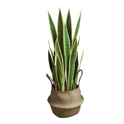 Artificial Snake Plant