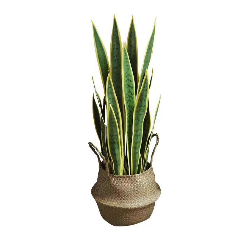 Artificial Snake Plant