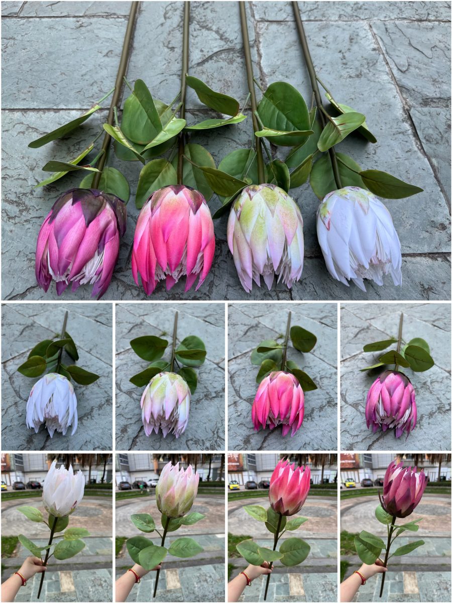 Real-touch King Protea