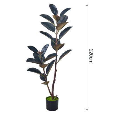 Artificial Black Rubber Tree