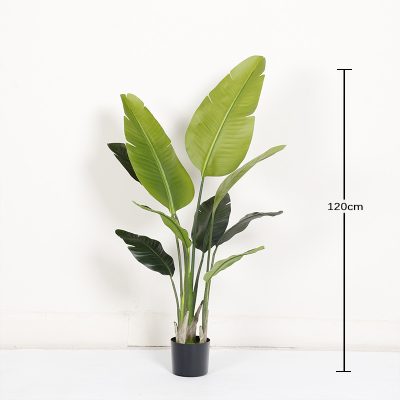 O1CN01dgizPq1g9OWxYZR6r_!!2712764099-0-cib Faux Traveller's Palm/Canna