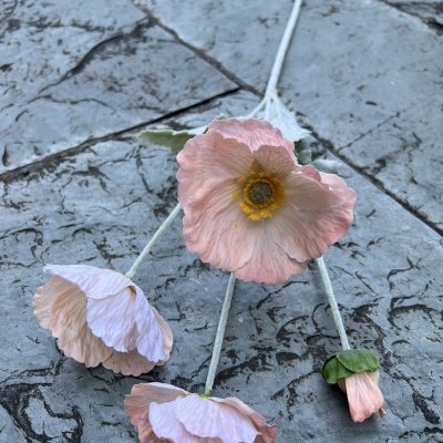 4-Bloom Poppy| Moisture-Lock Petals