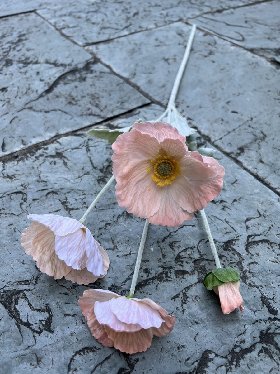 4-Bloom Poppy| Moisture-Lock Petals