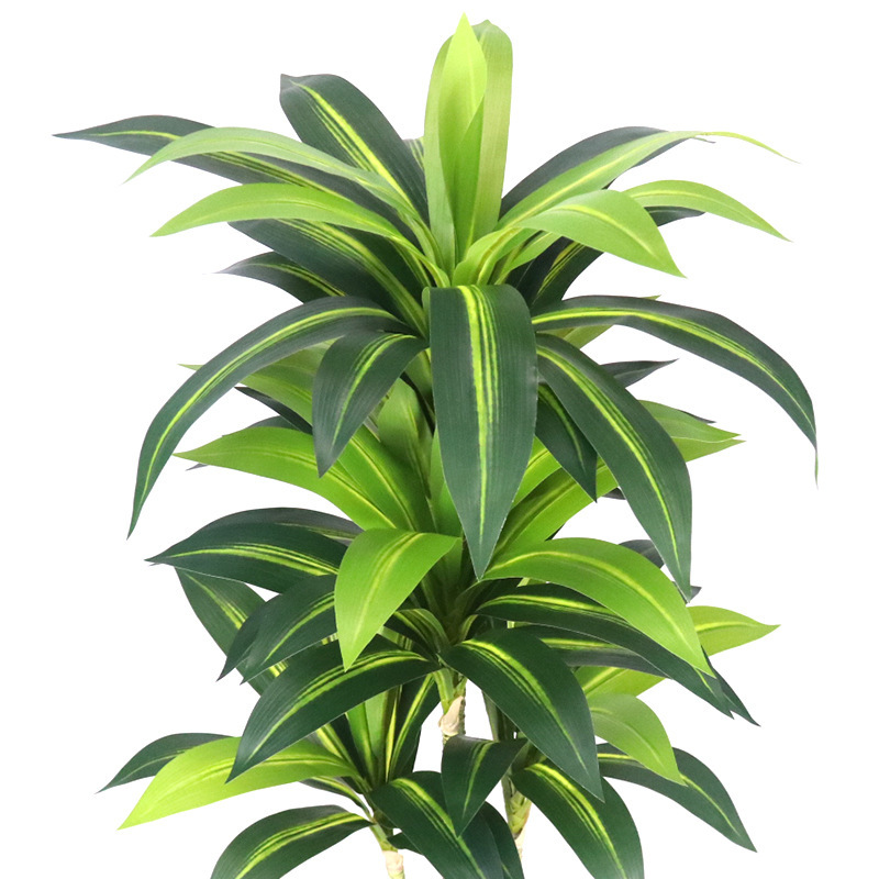 Faux Dracaena Fragrans/ Corn Plant