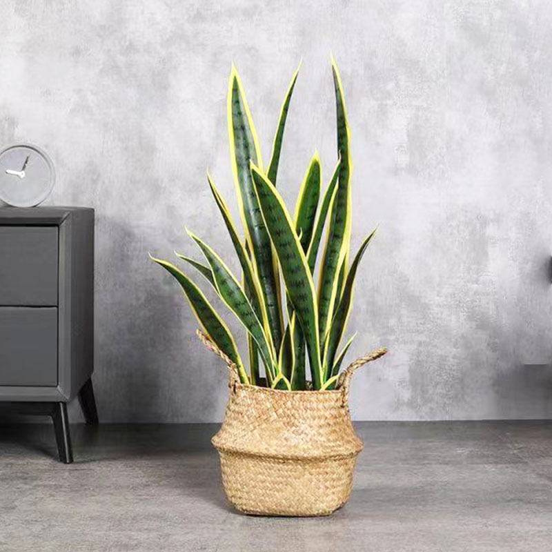 Artificial Snake Plant