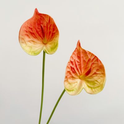 O1CN01fgjYkg1mXZ62VMZ2Z_!!2212877874964-0-cib Wholesale PU Anthurium| Ultra-Realistic 3D Texture