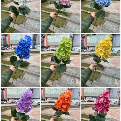 Tactile Pagoda Hydrangea