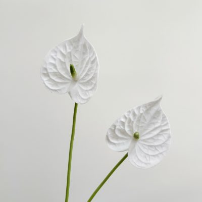 O1CN01gRiuGS1mXZ66LXxN3_!!2212877874964-0-cib Wholesale PU Anthurium| Ultra-Realistic 3D Texture