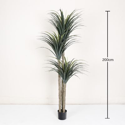 Artificial Dragon Tree