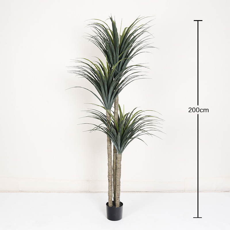 Artificial Dragon Tree