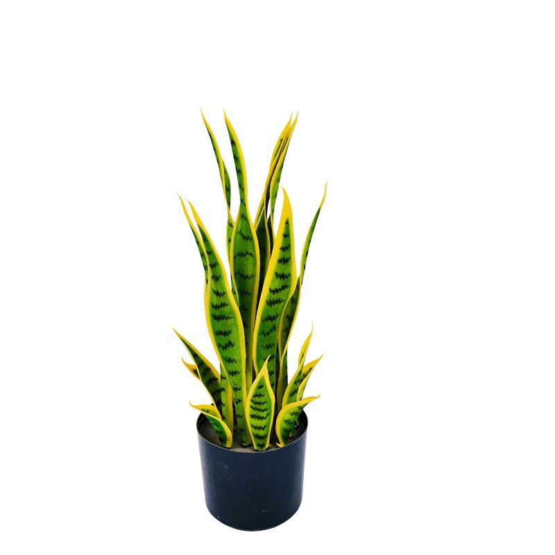 Artificial Snake Plant