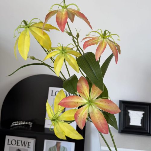 Real-touch Gloriosa Superba