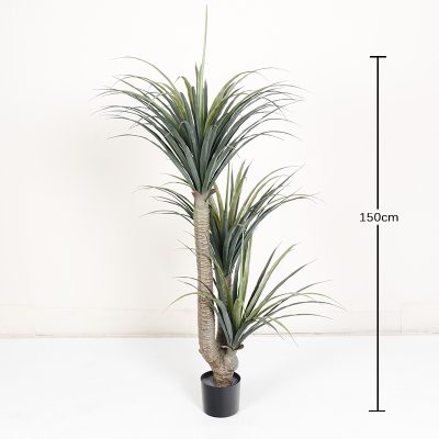 Artificial Dragon Tree