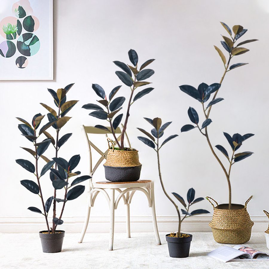 Artificial Black Rubber Tree