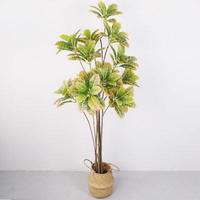 Artificial Golden Variegated Ficus