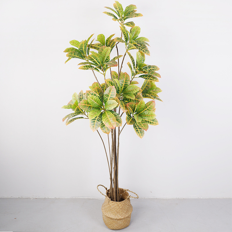 Artificial Golden Variegated Ficus