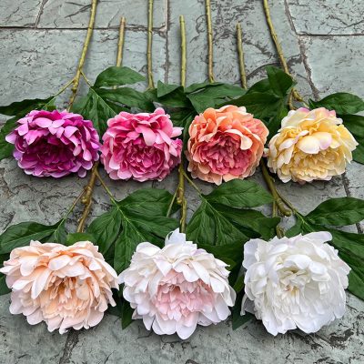 Real-Touch European-Style Peony
