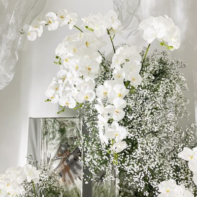 6 Curated Styles | Premium Gypsophila Selection