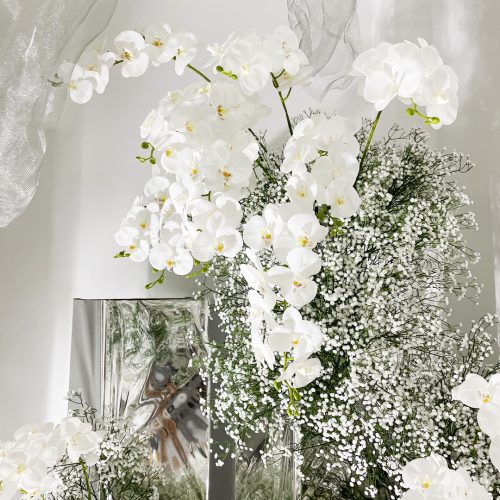 6 Curated Styles | Premium Gypsophila Selection