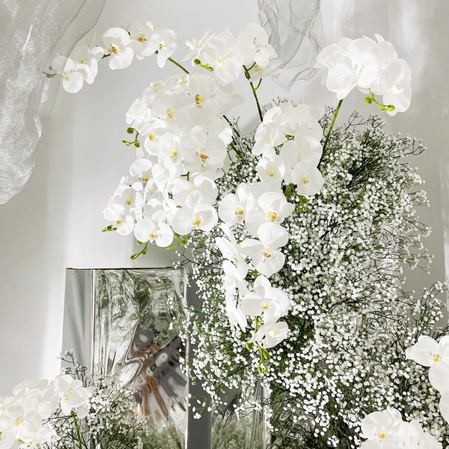 6 Curated Styles | Premium Gypsophila Selection