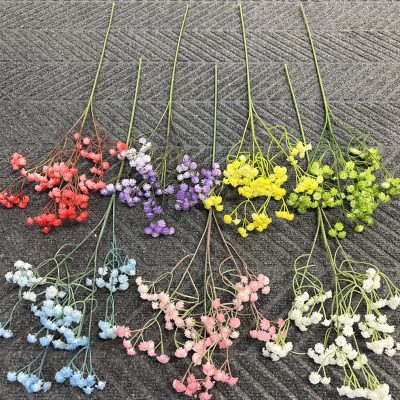 6 Curated Styles | Premium Gypsophila Selection