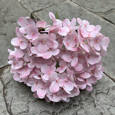 15 Color Options| 5-Headed 3D Real Touch Hydrangea