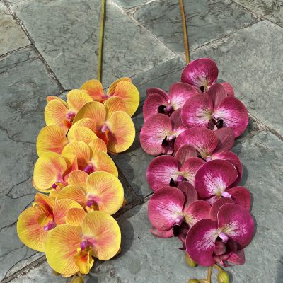 9-Bloom 3D Real-Touch Moth Orchids