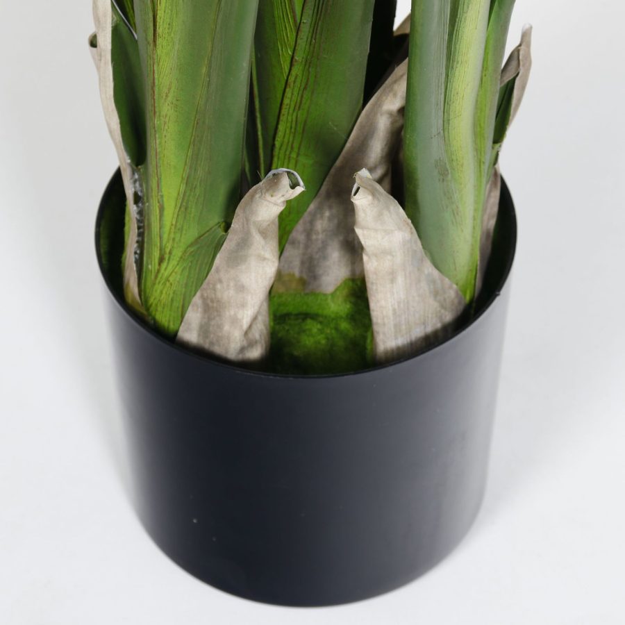 O1CN01tk2pOH1g9OWrPYAP8_!!2712764099-0-cib Faux Traveller's Palm/Canna