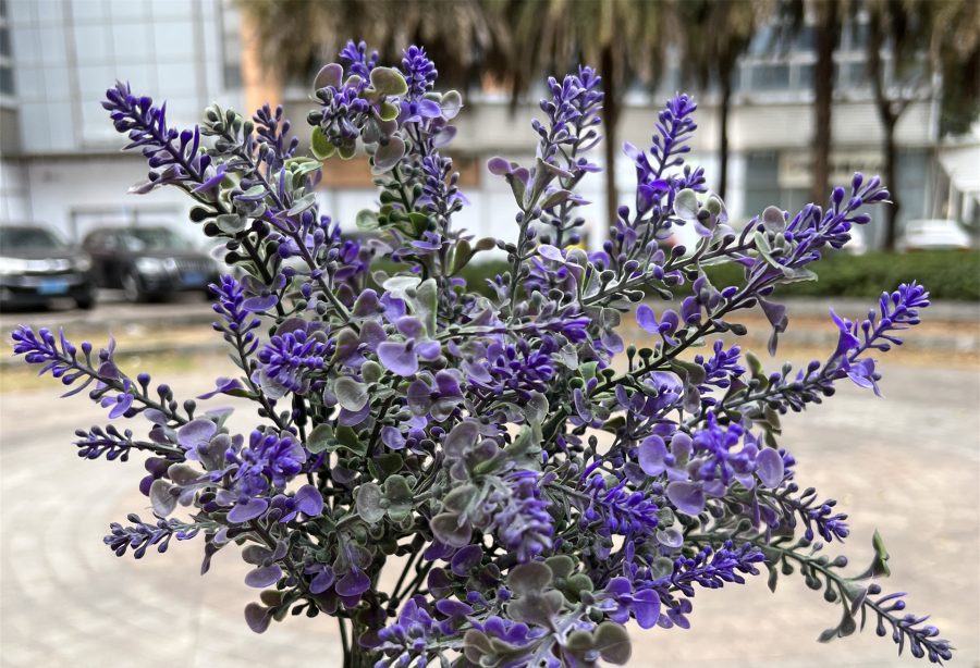 4 Style Options | Faux Lavender Collection
