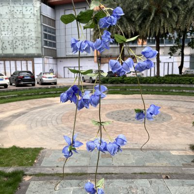 Upright&Trailing Style | Artificial Physalis Branches
