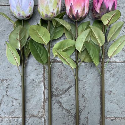 Real-touch King Protea