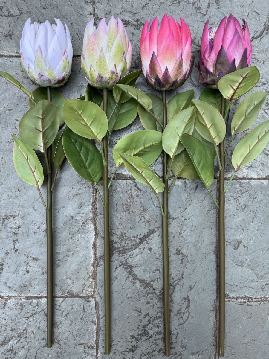 Real-touch King Protea