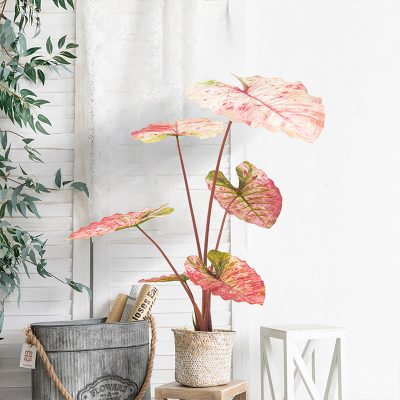 Artificial Caladium Bicolor